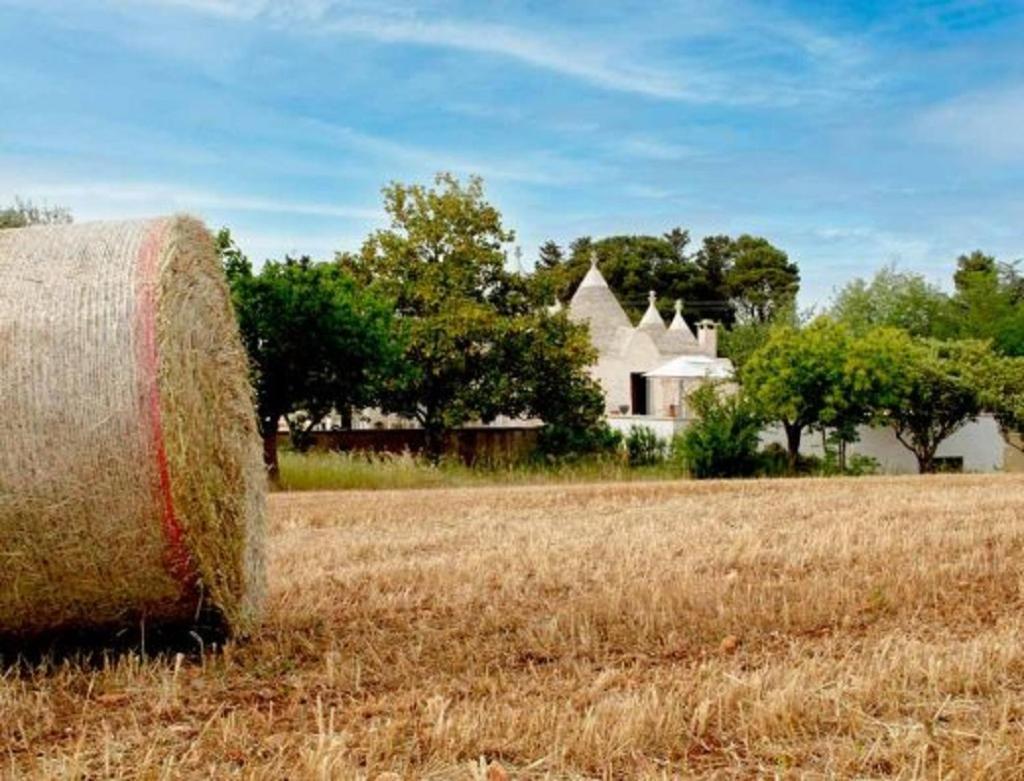 Вилла Trulli Delle Rose Мартина-Франка Экстерьер фото